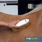 Grooming & Foot Care Accessories by Perry Equestrian